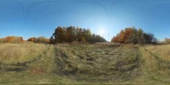 Autumn Meadow HDRI