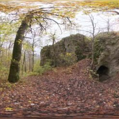 Forest Cave HDRI