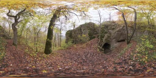 Forest Cave HDRI