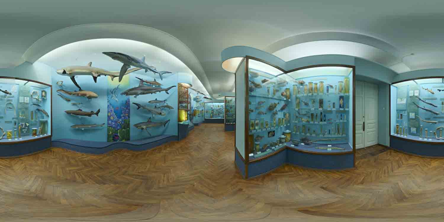 Hall of Finfish HDRI