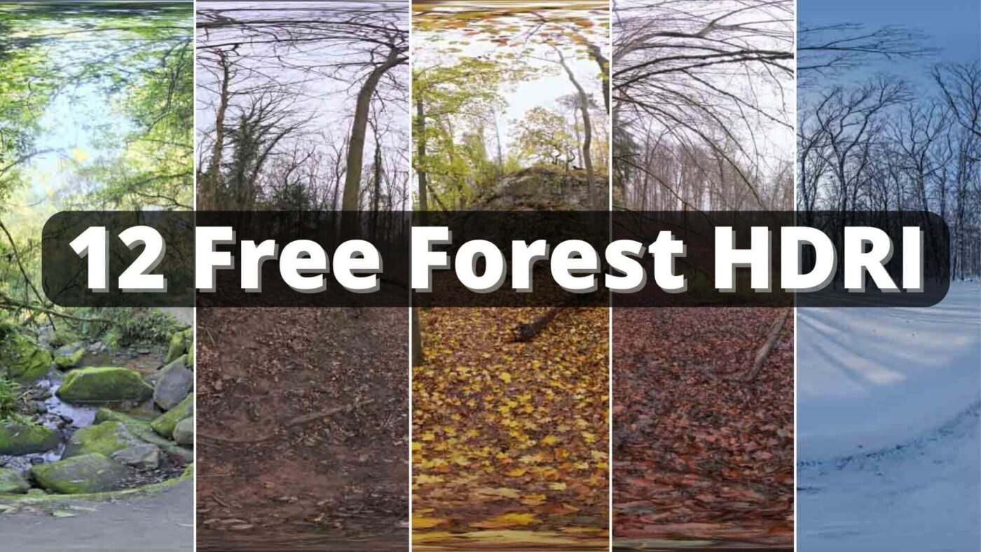 Add Realism To Your Renders With These 12 Free Forest HDRI